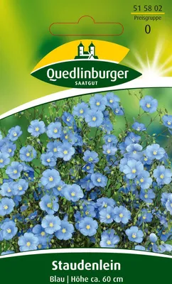 Produktbild von Lein Blau | Blumensamen von Quedlinburger