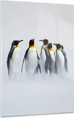 Produktbild von Bilder auf glas - Einteilig - Pinguine Winter Schnee Spaziergang - 50x70cm - Glasbilder - Wandbilder - Bilder - Wanddekoration aus Glas - Glas Bilder - Wandbild auf Glas - GPA50x70-2893