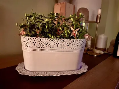 Immagine prodotto di Graziosi vasi da fiori ovali con bordo bianco, 3,7 l, 2 pezzi, per balconi, davanzali e altro ancora