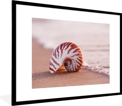 Produktbild von MuchoWow® Gerahmtes Poster Muschel - Strand - Meer - Sand 80x60 cm - Poster mit Schwarzem Bilderrahmen Wandposter Rahmen Foto Bilder - Schlafzimmer-Dekorationen - Fotoposter