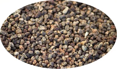 Imagen del producto de Eder Gewürze - Cardamomo  entero - 250g