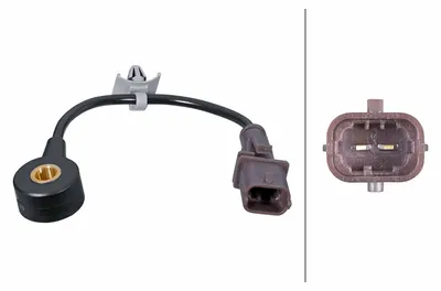 Produktbild von HELLA Klopfsensor 6PG 013 114-831 für OPEL ZAFIRA B (A05)