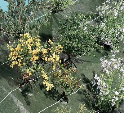 Produktbild von Mulchgewebe "Agrosol" für Landschaftsbau, 1,25 x 10 m