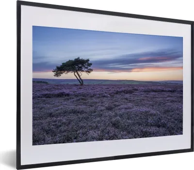 Produktbild von MuchoWow® MuchoWow® Gerahmtes Poster Baum in der Heidelandschaft 40x30 cm - Poster mit zchwarzem Bilderrahmen - Bilderrahmen - Poster im Rahmen