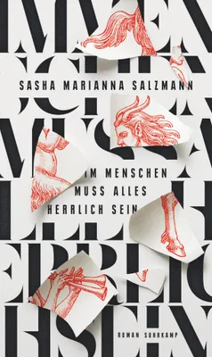 Buchcover von 'Im Menschen muss alles herrlich sein' - Gebundene Ausgabe von Sasha Marianna Salzmann