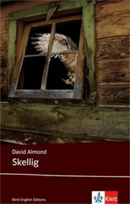 Produktbild von Skellig