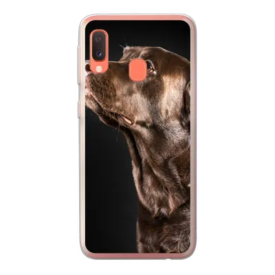 Produktbild von MuchoWow® Handyhülle Schutzhülle Hülle für Samsung Galaxy A20e Hund - Braun - Porträt Silikon Softcase Handy Hülle - Abdeckung