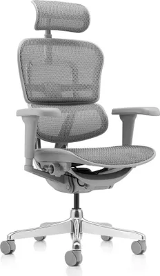 Produktbild von hjh OFFICE Luxus Chefsessel ERGOHUMAN ULTRA G GEN2 Ergonomischer Bürostuhl mit Armlehnen (höhenverstellbar) Netzstoff Drehstuhl für Büro, Zuhause