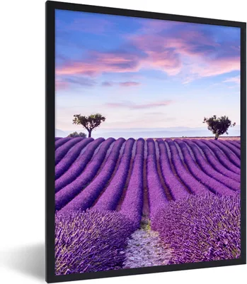 Produktbild von MuchoWow® Gerahmtes Poster Lavendel - Natur - Lila - Bäume - Blumen 30x40 cm - Poster mit Schwarzem Bilderrahmen Wandposter Rahmen Foto Bilder - Wanddeko - Kunstdrucke