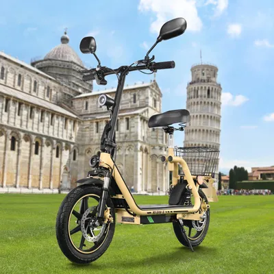 Produktbild von EEC Elektro-Scooter mit Sitz und Korb - M5 Elite-E - 48V Lithium-Akku, 250W bürstenloser Motor - Reichweite bis 60 km, max 25 km/h - 35 cm Räder, klappbar