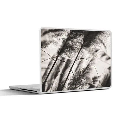 Produktbild von MuchoWow® Laptop Aufkleber Sticker Cover Pampasgras - Schwarz - Weiß - Pflanze 30x22 cm - Laptop-Sticker