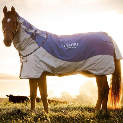 Couverture De Compétition Horseware Ireland Rambo MINI - Marron, Polaire