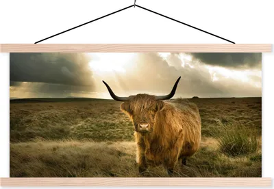 Produktbild von MuchoWow® Textilposter Schottisches Hochlandrind - Sonne - Tiere 120x60 cm mit holzfarbenen Rahmen - Klemmleiste