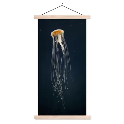 Produktbild von MuchoWow® Textilposter Qualle - Meerestier - Tentakel 60x120 cm mit holzfarbenen Rahmen - Holz