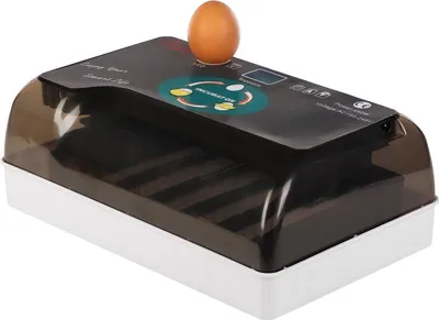 Immagine prodotto di Copia HFM Brüterei Thermo 12 - incubatrice con termostato e LED per 12 uova