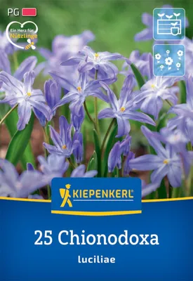 Artikelbild 2 von 'Schneeglanz (25 Stück)' aus der Kategorie Blumenzwiebeln
