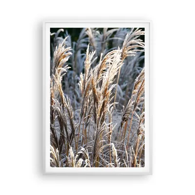 Produktbild von Gerahmtes Poster - Weißer Rahmen - Stock Ähren Boho - 70x100 cm - Wand Bild - Wanddeko - Wandbilder - Kunstposter - Wandposter - Bilderrahmen - Bilder - Kunstdruck - Wanddekoration - P2WPA70x100-4523