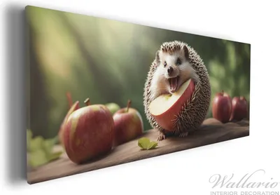 Produktbild von Wallario Premium Leinwandbild Lustiger Igel in Größe 30 x 75 cm