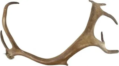 Productafbeelding van Mars & More afvoerstang rendier, 45 cm