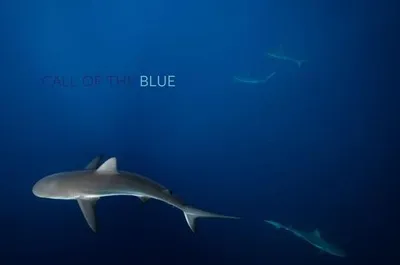 Produktbild von Call of the Blue