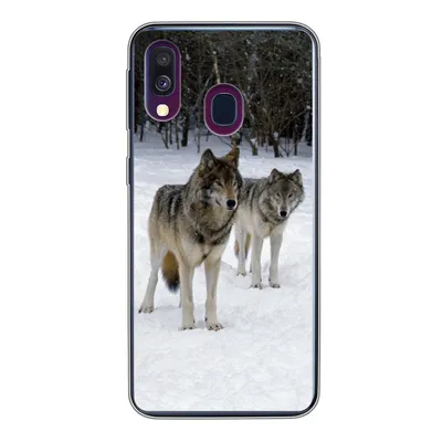 Produktbild von MuchoWow® Handyhülle Schutzhülle Hülle für Samsung Galaxy A40 Wolf - Schnee - Kanada Silikon Softcase Handy Hülle - Handy-Tasche