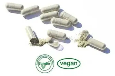 Produktbild von Sanatur Magnesium 100 Kapseln