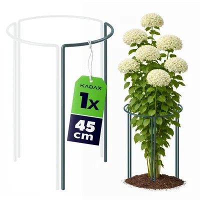 Produktbild von KADAX Staudenstütze 45 cm Höhe, 1 Stück, Pflanzenstütze aus pulverbeschichtetem Stahl, Hortensienstütze, Rankhilfe für Stauden, Strauchstütze (1/3 Rund)
