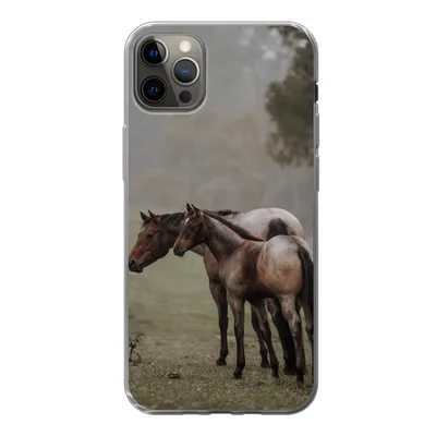 Produktbild von MuchoWow® Handyhülle Schutzhülle Hülle für iPhone 12 Pro Max Pferde - Natur - Nebel Silikon Softcase Handy Hülle - Hartschale