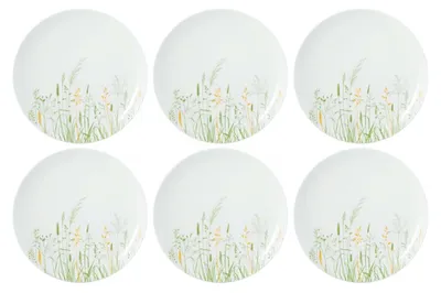 Zdjęcie produktu dla Seltmann Weiden - Zestaw 6 talerzy obiadowych 27.5cm Meadow Grasses Green