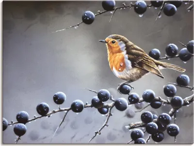 Produktbild von ARTland Leinwandbild Vogel im Beerenbaum Größe: 60x45 cm