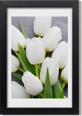 Produktbild von Bild 20x30 MDF-Rahmen, Wandkunst Weiße Tulpen