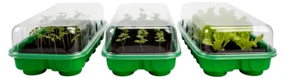 Produktbild von 3er Set Mini-Gewächshaus für Zimmerpflanzen – Optimal für Pflanzenzucht, Saattöpfe und Anzuchtkasten. Schaffe ideale Bedingungen für Keimlinge, Kräuter, Gemüse, Tomaten und Blumen auf der Fensterbank