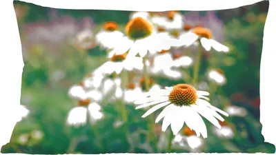Produktbild von MuchoWow® Zierkissen Sofakissen Wohnzimmer Dekokissen 60x40 cm Blumen - Herbst - Botanisch - Kopfkissen - Polster mit Foto