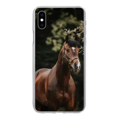 Produktbild von MuchoWow® Handyhülle Schutzhülle Hülle für iPhone Xs Pferd - Äste - Porträt Silikon Softcase Handy Hülle - Handytasche