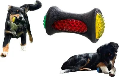Obrázok produktu pre Žuvačka pre psov Skákacia lopta Svietiaca gumová hračka Fetch Floating