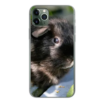 Produktbild von MuchoWow® Handyhülle Schutzhülle Hülle für iPhone 11 Pro Max Meerschweinchen im Garten Silikon Softcase Handy Hülle - Schutz