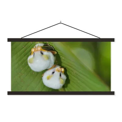 Produktbild von MuchoWow® Textilposter Weiße Fledermäuse auf grünem Blatt 90x45 cm mit schwarzem Rahmen - Klemmleisten