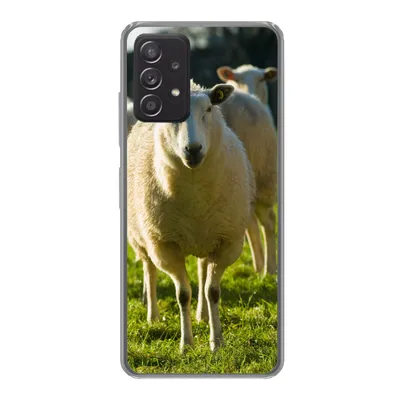 Produktbild von MuchoWow® Handyhülle Schutzhülle Hülle für Samsung Galaxy A53 5G Schafe - Tiere - Wolle Silikon Softcase Handy Hülle - Schutzabdeckung