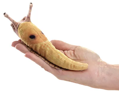 Produktbild von Folkmanis Handpuppe Mini Bananenschnecke 8002