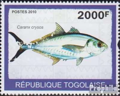 Produktbild von Briefmarken Togo 2010 Mi 3418 (kompl.Ausg.) postfrisch Fische