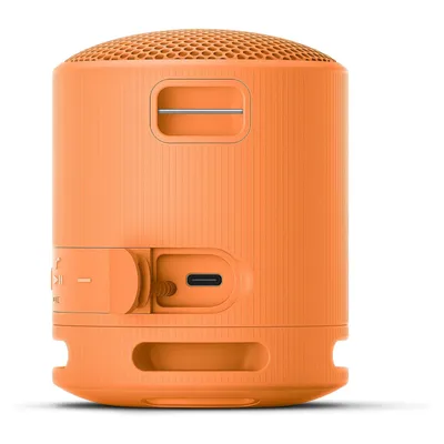 Obrázok produktu pre Sony SRSXB100D
