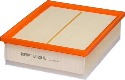 Produktbild von Hengst Luftfilter für Fiat Nissan Opel Renault
