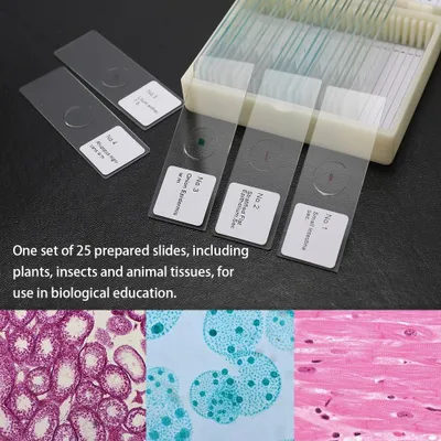 Imagen del producto de 25 unidades/juego: Portaobjetos de vidrio para muestras biológicas, preparados básicos para animales, plantas, insectos y tejidos. Ideal para muestras científicas, portaobjetos con cubierta para microscopios, portátil y educativo
