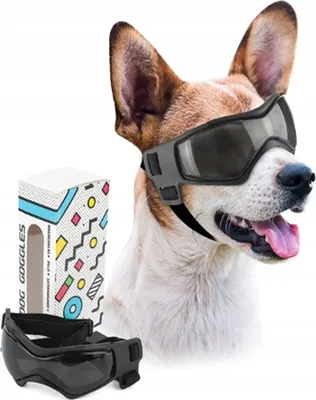 A dog wearing protective goggles, with a box of dog goggles and a separate pair of goggles in the foreground.