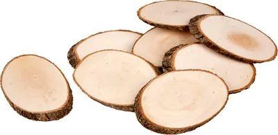 Obrázek produktu pro Dřevěné disky o rozměrech cca 11 x 7,5 cm. 12 kusů, tloušťka 8 mm