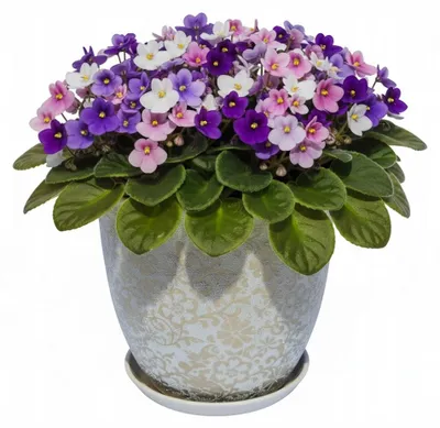 Zdjęcie produktu dla Doniczka Ceramiczna Perłowa Biała Grawerowana Kwiaty 3D Śr 20Cm Wys 22Cm