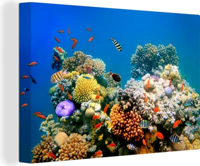 Obrázok produktu pre OneMillionCanvasses® - Plátno - 140x90 cm, Tropical - Fish - Corals, nástenné umenie Print Wall Decoration