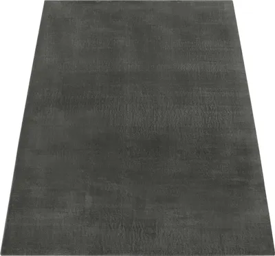 A dark gray rug is shown from a slightly elevated angle against a white background.