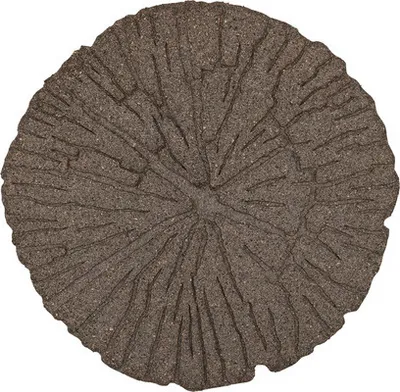 Produktbild von Trittplatte, Bodenplatte, Terrassendeck Cracked Log Ø 45 cm braun