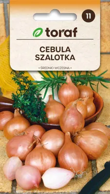 Obrázok produktu pre Šalotka AMBITION F1 semená 25 Toraf